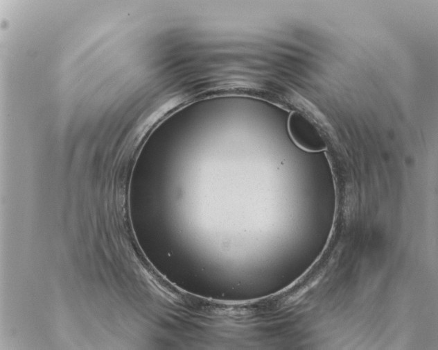 X0000087391321200705042000