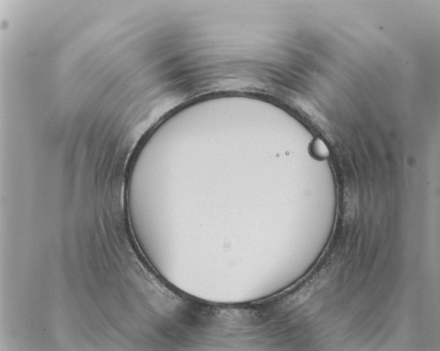 X0000087391322200705042000