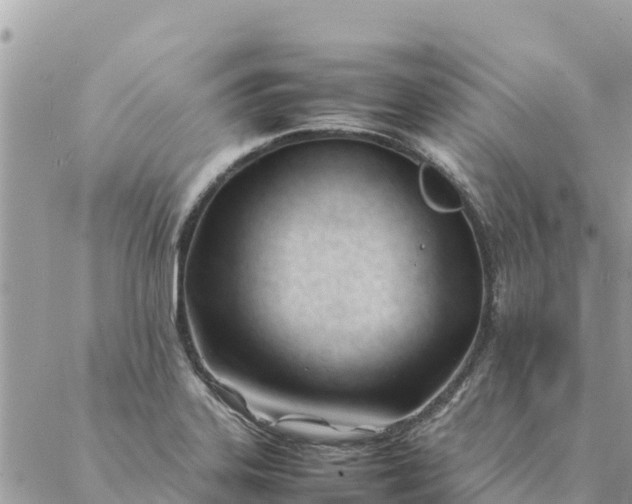 X0000087391323200705042000