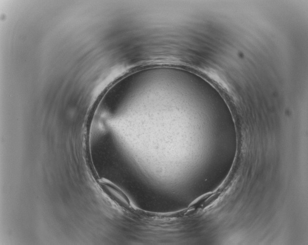 X0000087391325200705042000