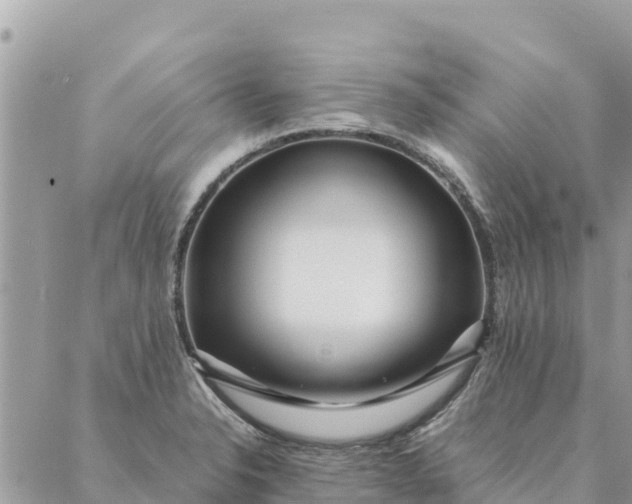 X0000087391326200705042000