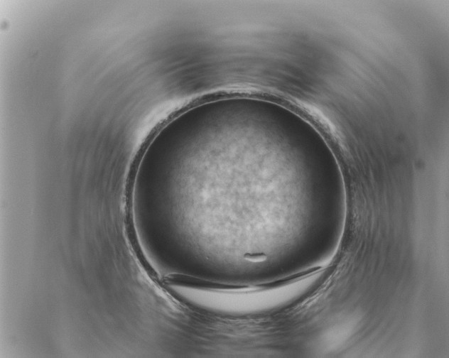 X0000087391327200705042001