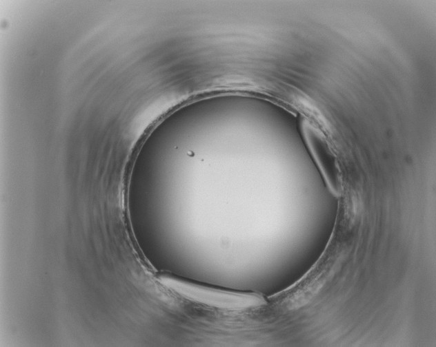 X0000087391328200705042001