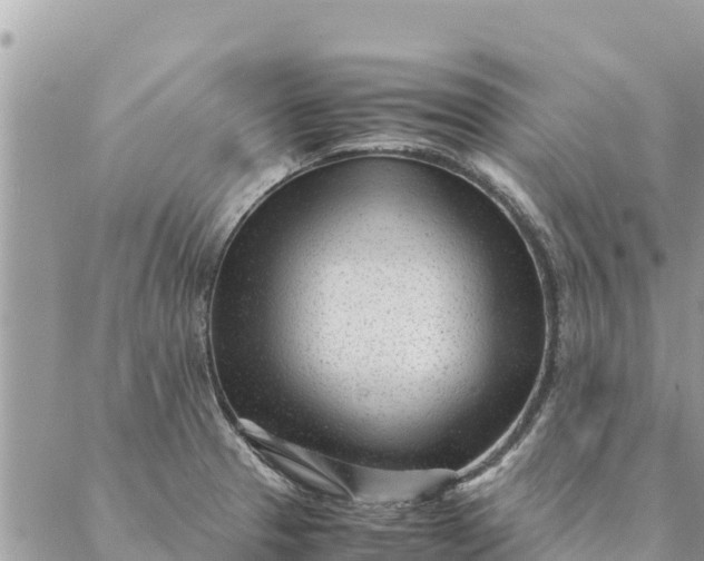 X0000087391329200705042001