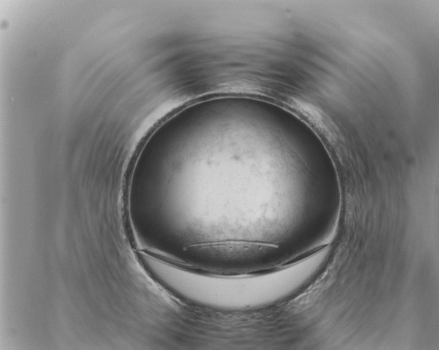 X0000087391331200705042001