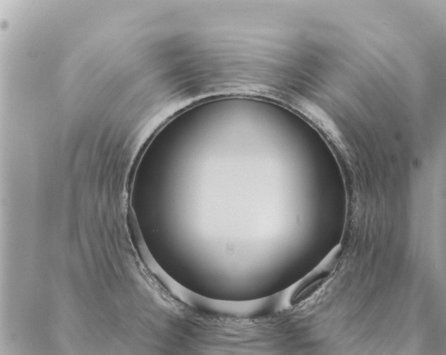 X0000087391332200705042001