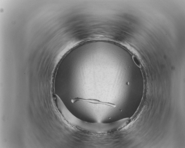 X0000087391333200705042001