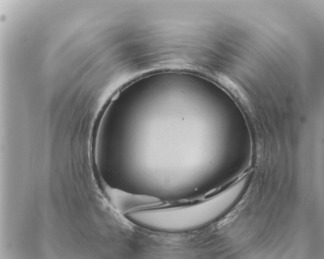 X0000087391334200705042001