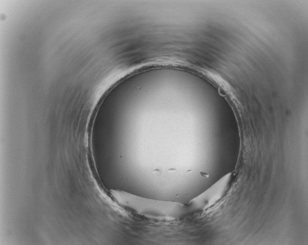 X0000087391335200705042001