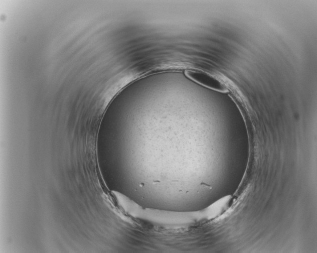 X0000087391337200705042001