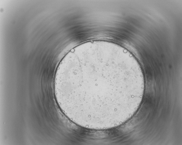 X0000087391338200705042001