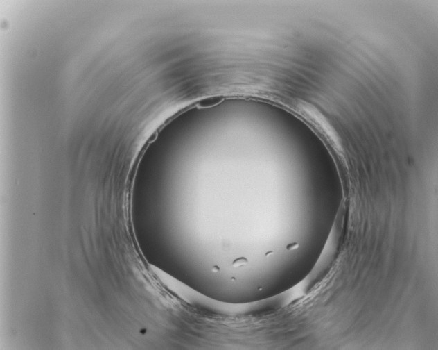 X0000087391340200705042001