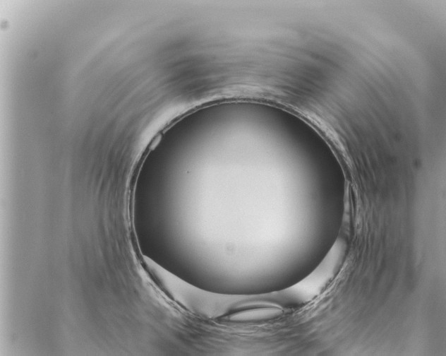 X0000087391342200705042001