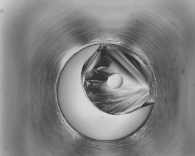 X0000087391344200705042001