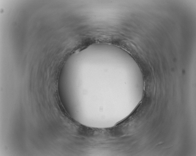 X0000087391345200705042000