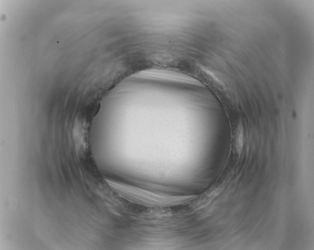 X0000087391346200705042000