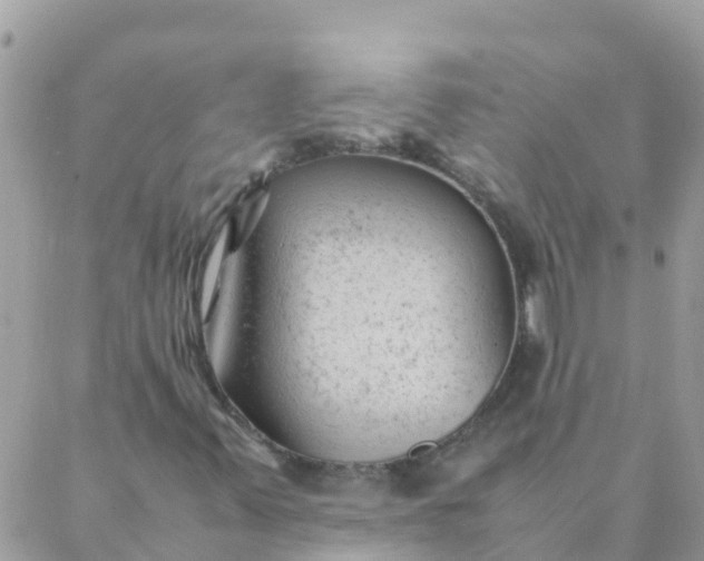 X0000087391347200705042000