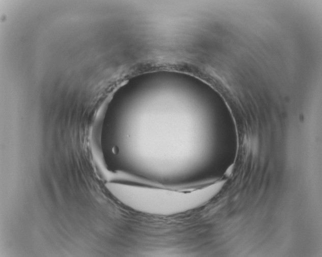 X0000087391348200705042000