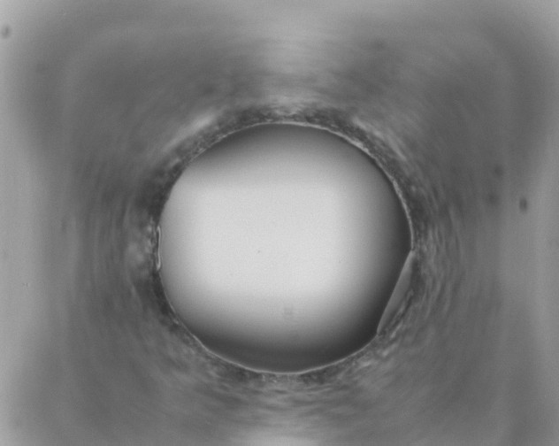 X0000087391349200705042000