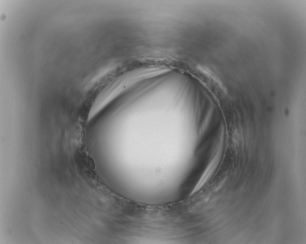 X0000087391350200705042000