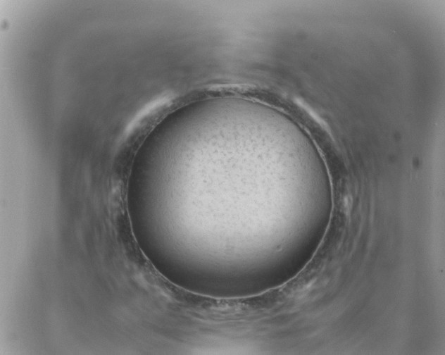 X0000087391351200705042000