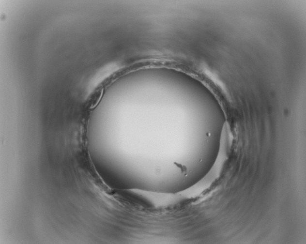 X0000087391352200705042000