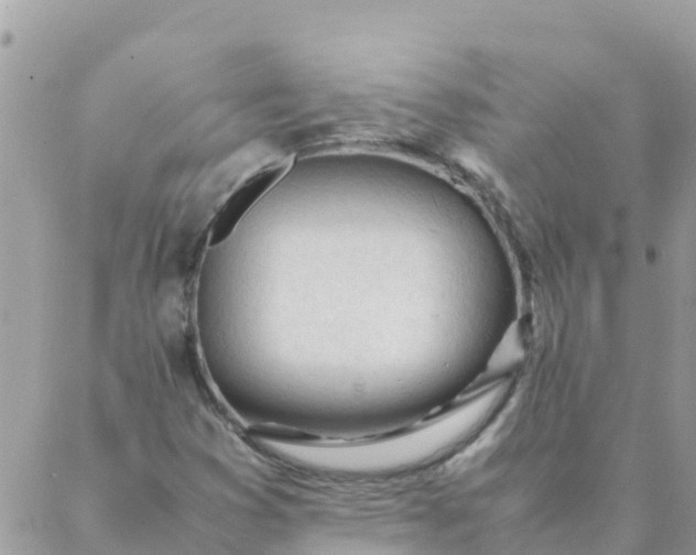 X0000087391353200705042000