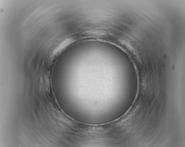 X0000087391354200705042000