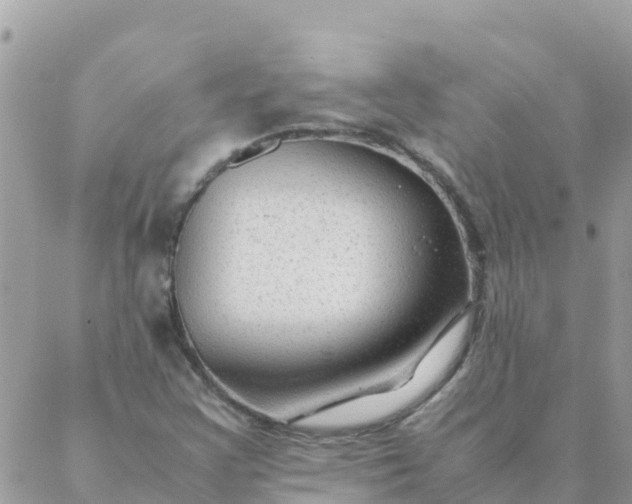 X0000087391355200705042000