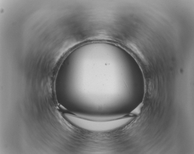 X0000087391356200705042000