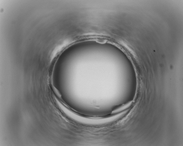 X0000087391357200705042000