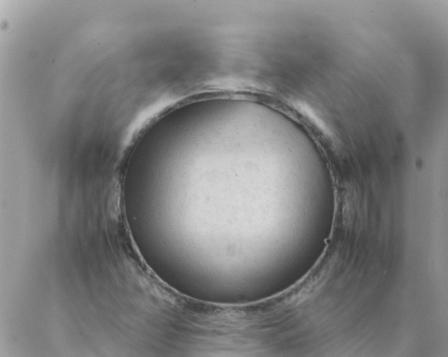 X0000087391358200705042000