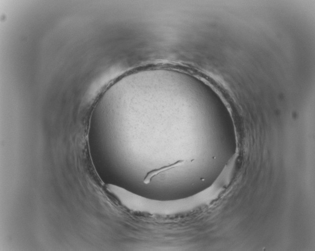 X0000087391359200705042000