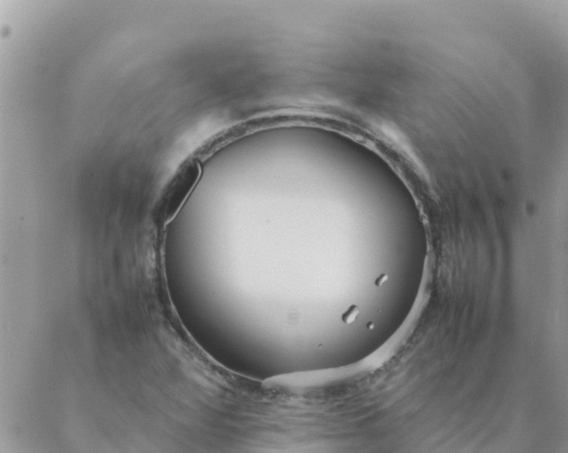 X0000087391360200705042000