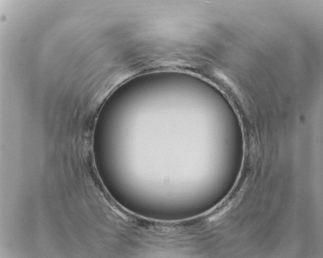 X0000087391361200705042000