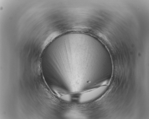 X0000087391362200705042000