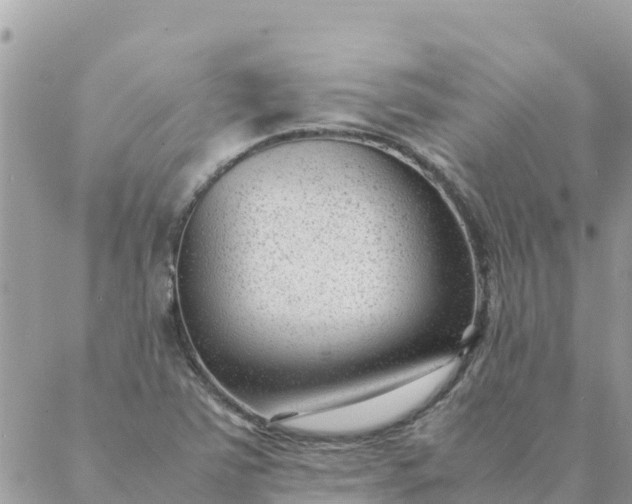 X0000087391363200705042000