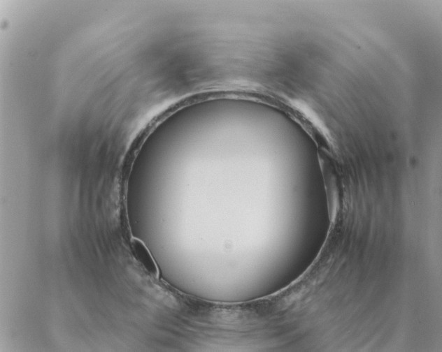 X0000087391364200705042000