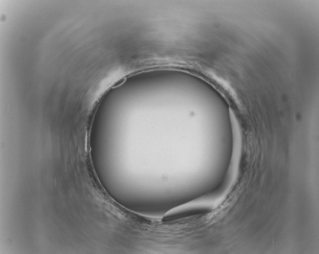 X0000087391365200705042000