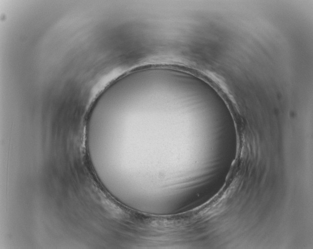 X0000087391366200705042000