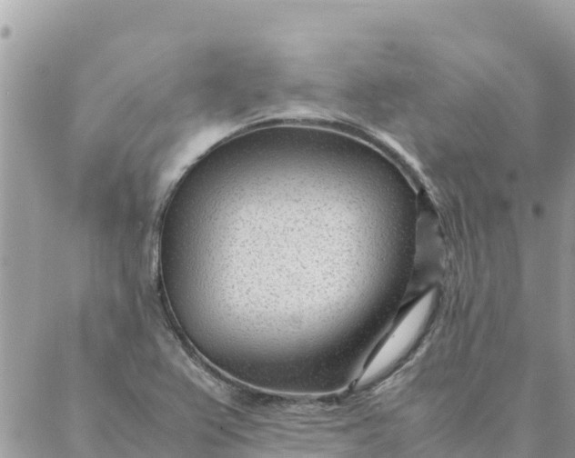 X0000087391367200705042000