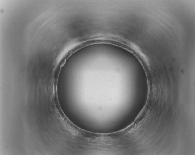 X0000087391368200705042000