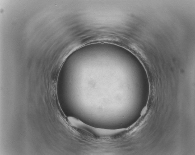 X0000087391369200705042000