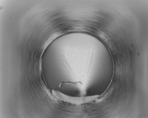 X0000087391370200705042000