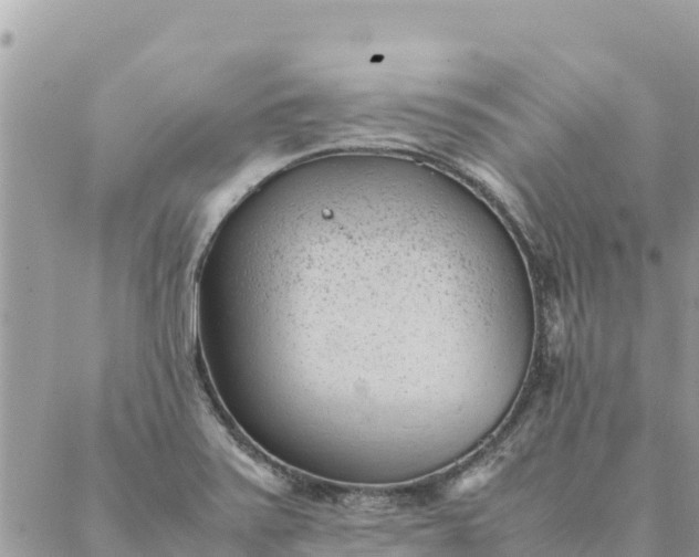 X0000087391371200705042000