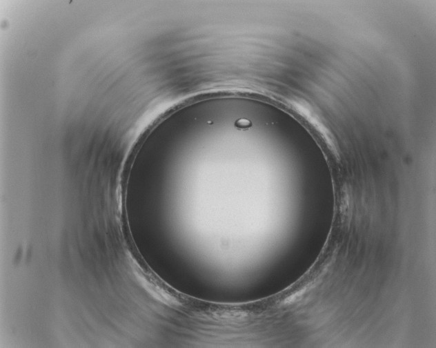 X0000087391372200705042000