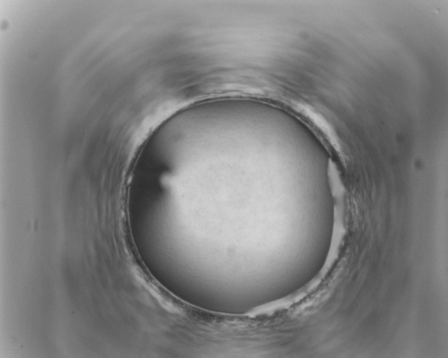 X0000087391373200705042000