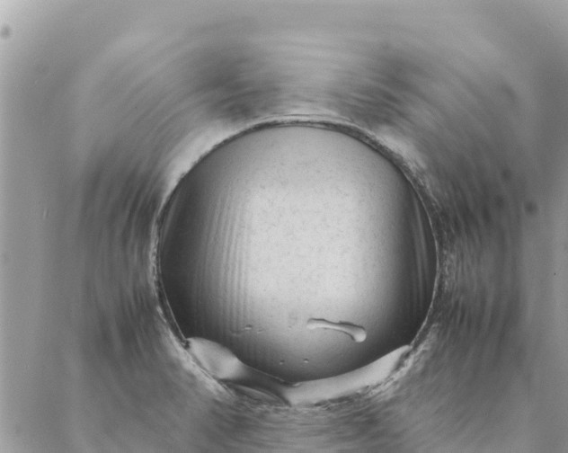 X0000087391374200705042000