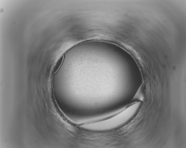 X0000087391375200705042000