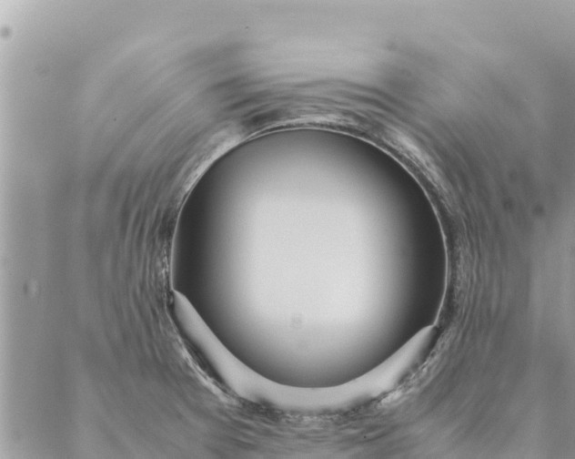 X0000087391377200705041959